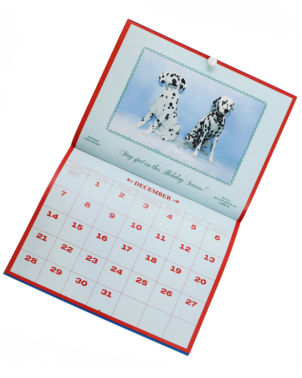 2025 DOG CALENDAR (N/A)