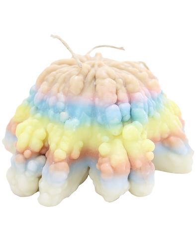 TABLE GOURD CANDLE 2 (N/A)