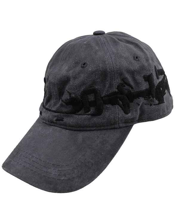 MIRRORED CAP (BLACK)