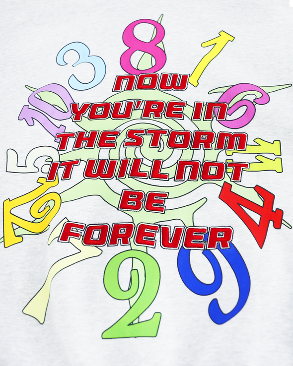 IN THE STORM ZIP HOODIE (GREY) RADD LOUNGE 限定