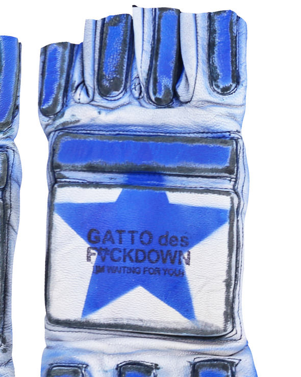 STAR GLOVES (BLUE) RADD LOUNGE 限定