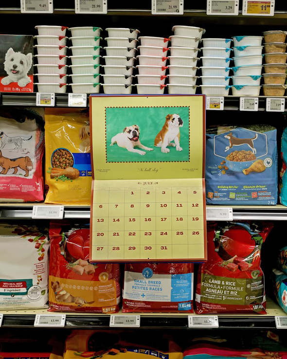 2025 DOG CALENDAR (N/A)